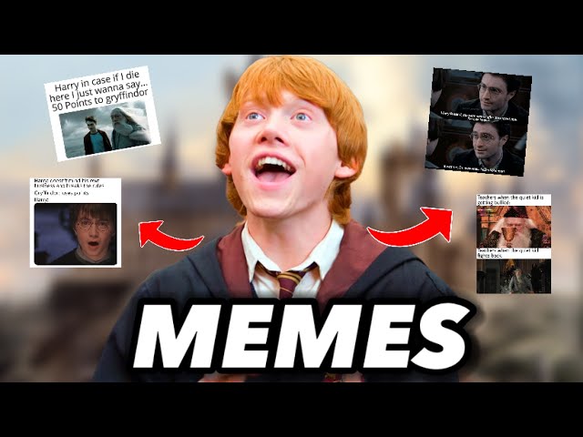 Harry Potter Memes - Memes for Lifee