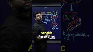 কালো টাকা লুকানোর উপায় - Insulin Principle #madhyamik2026 #lifescience #মাধ্যমিক২০২৬