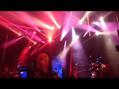 MGMT Kids LIVE 11 23 2019 Wonderfront San Diego