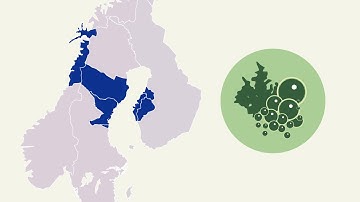 TransAlgae InfoMovie