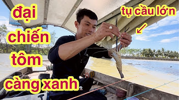 Điểm Câu Tôm Tụ Cầu Độ Sâu Khủng Nhiều Tôm Càng Trú Ngụ Trúng Mạnh Chuyến Này Rồi