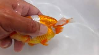 DSCF1620