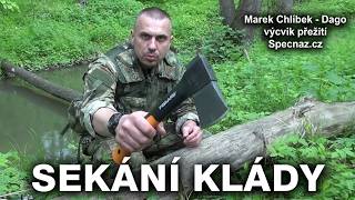 Sekání klády v lese