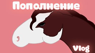 Movie-Format Vlog - Replenishment Wild Horse Islands Roblox Rrp Vlog