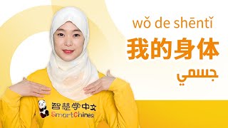  تعلم اللغة الصينية مع التعليم الذكي للغة الصينية  -  جسمي ⭐