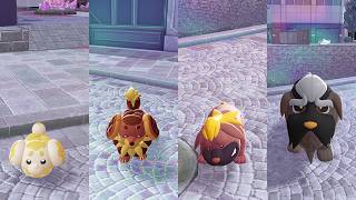 Pokemon Legends: Z-A Fidough,Dachsbun,Maschiff & Mabosstiff (HYPERSPACE)