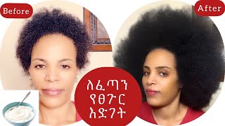 ለፈጣን የፀጉር እድገት hair mask for damaged hair at home #ethiopian beauty care yihonal style