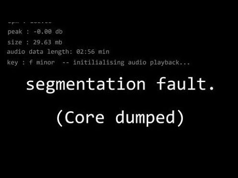 c string assignment segmentation fault