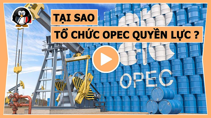 Quyền lực trong tổ chức là gì năm 2024