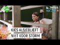 ZIET ZOË STORM OOIT NOG TERUG? | De zomer van Zoë #2 | NPO Zapp