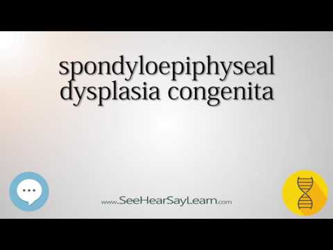 spondyloepiphyseal dysplasia congenita 🔊