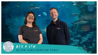 World Ocean Day for Schools 2026 Assembly