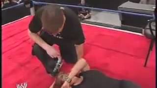 Celebrity Sable Knocks Out Stephanie McMahon Wealth