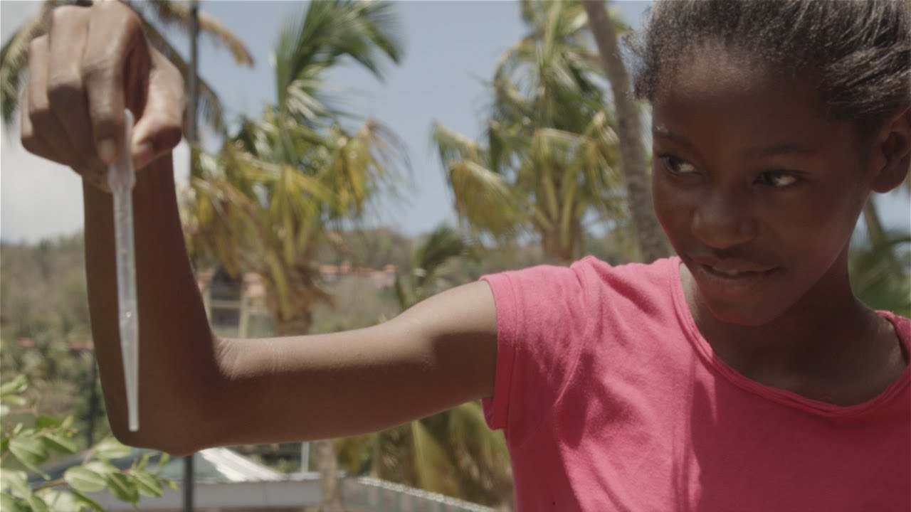 Soluciones de las islas: Mares limpios para un futuro saludable y sostenible