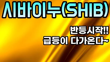 시바이누 SHIB 코인전망 반등시작 급등이 다가온다 아직 모르셨어요 이제부터가 중요합니다