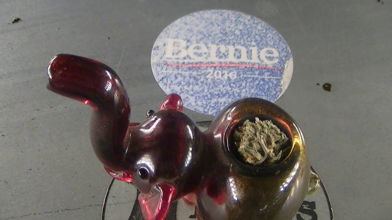 GREEN NINJAS GROW ROOM:  SEASON 4 EPISODE 22 GROW ROOM UPDATE