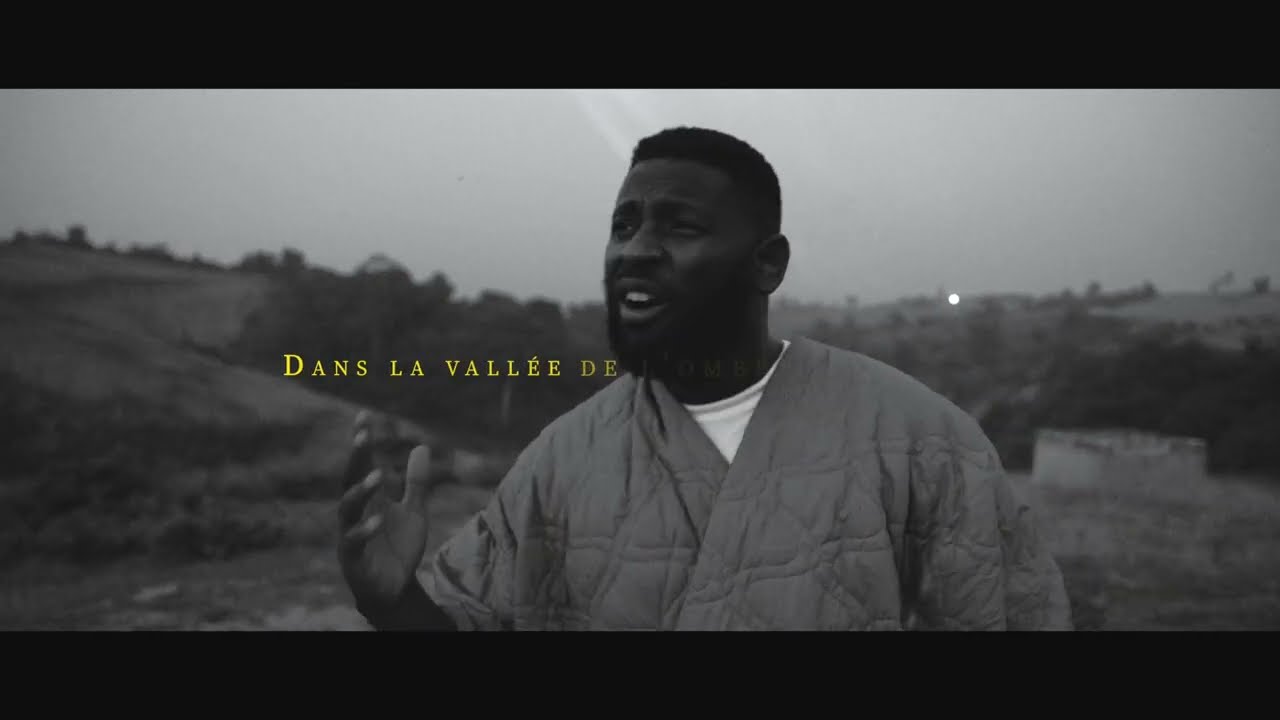David Republic - Dans la vallée (visualiseur)