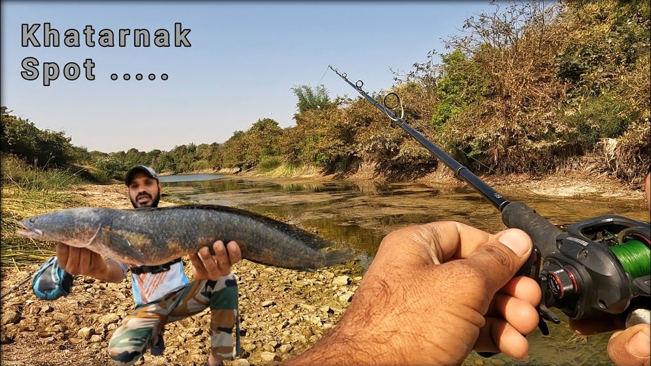 everything you need toknow about fishing rods + Full Enjoying Fishing Game