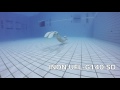 GoProの広角レンズINONとSHOOTの比較