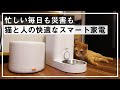 【買って良かった】猫との暮らしに取り入れた、便利な購入品。環境を整えるスマート家電。