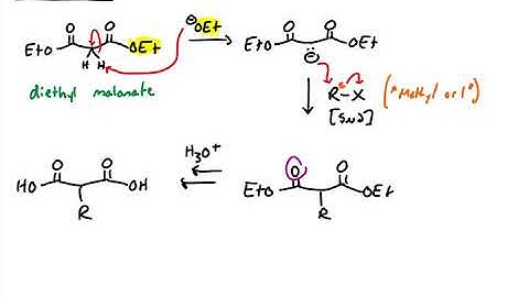 Malonic Ester Synthesis