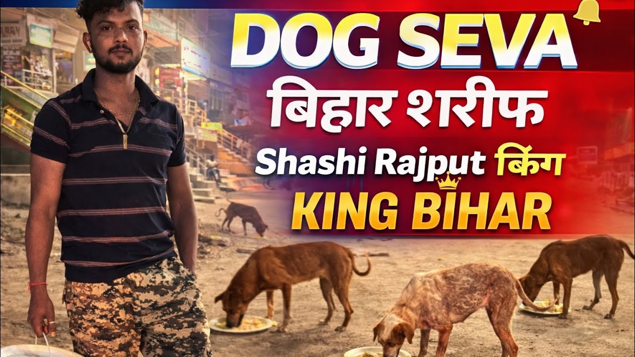 Shashi Rajput “रात में भूखे कुत्तों को खाना खिलाया 🐕 | Dog Seva Bihar Sharif | Shashi ...