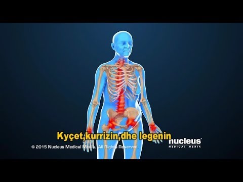 Video: Skeleti I Shpendëve: Tiparet Strukturore