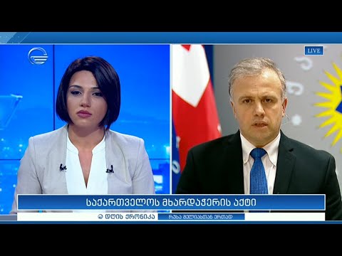 საქართველოს მხარდაჭერის აქტი -  გიორგი ხელაშვილი \'დღის ქრონიკა\'