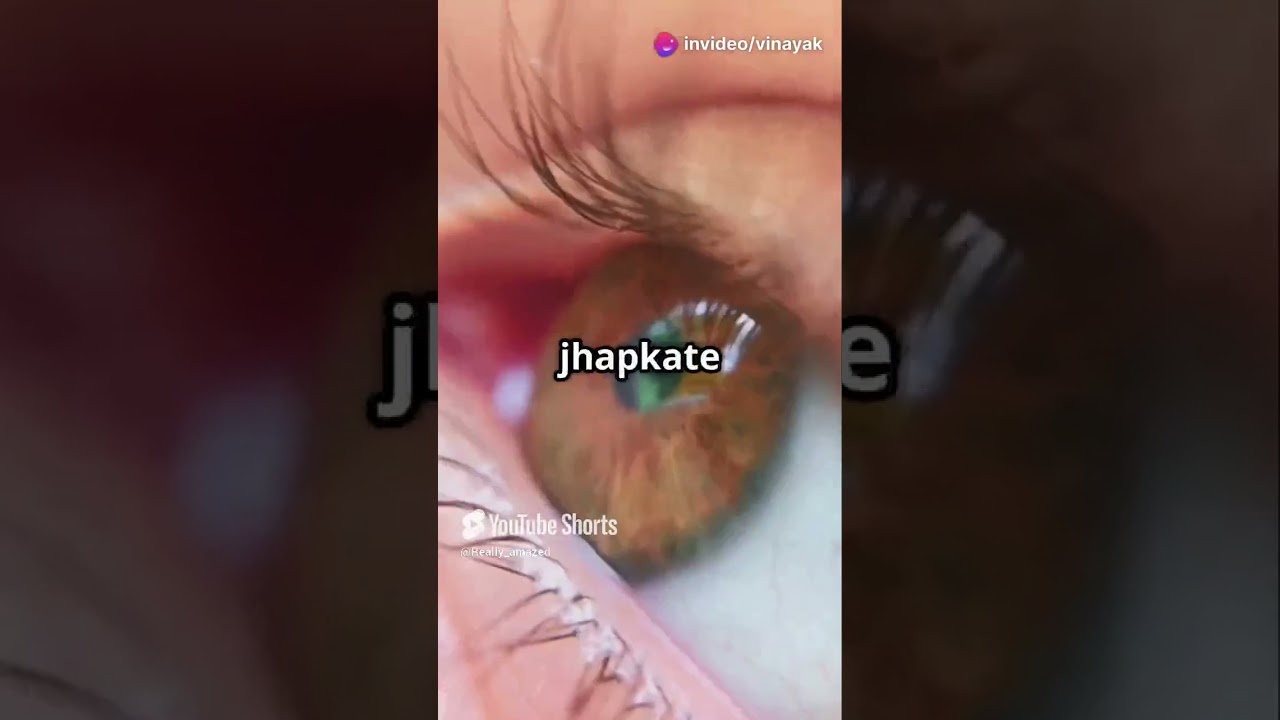 Top 10 Weird and Fun Facts That Will Blow Your Mind!