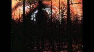 Dark Tranquillity - Archetype