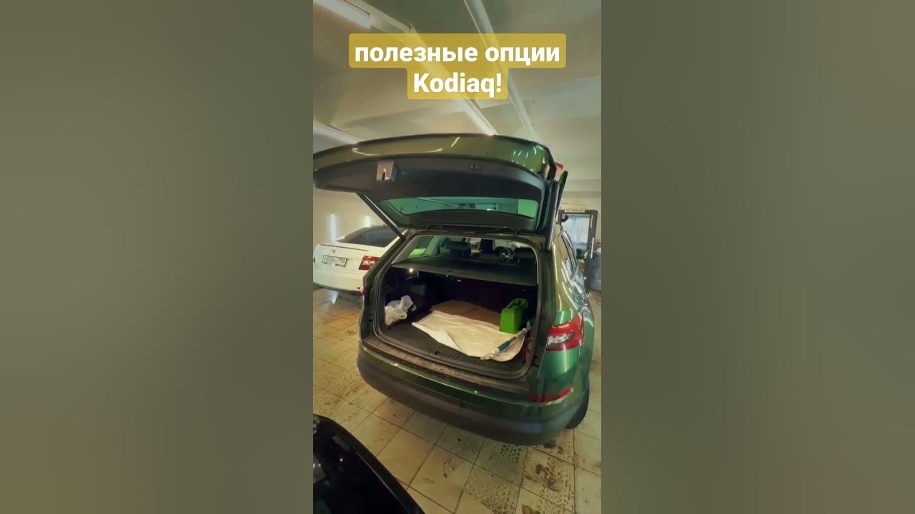 функция аварийного вызова работает с ограничениями в ремонт шкода кодиак