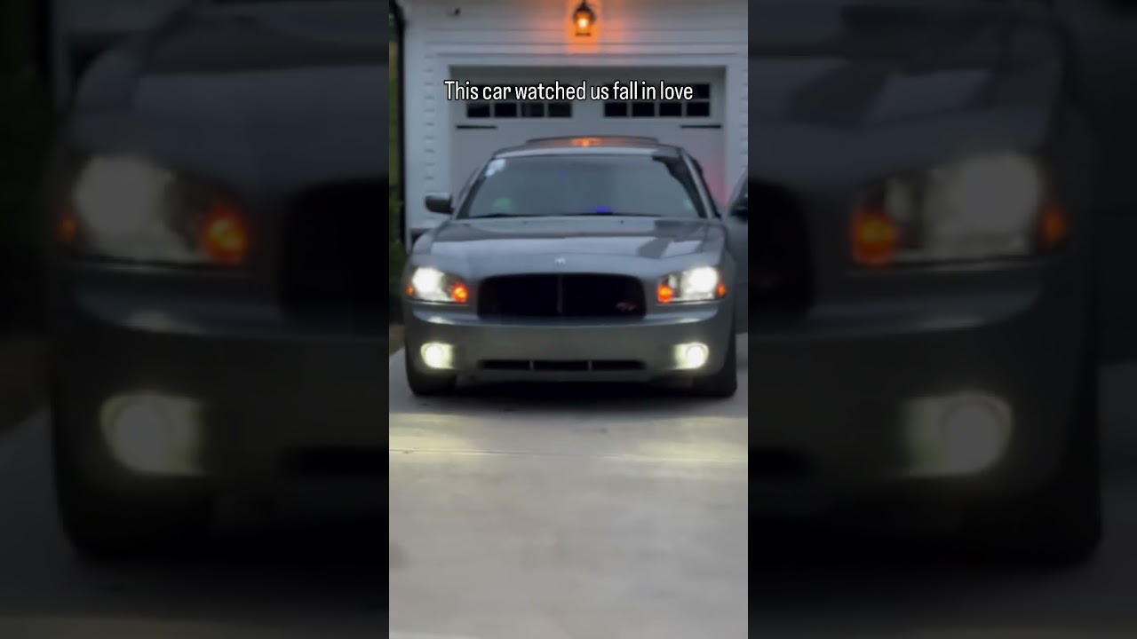 Mustangs Being Mustangs 😂 #564 #shorts