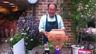 ストロベリーポットのご紹介 Youtube