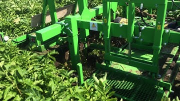 Front Mounted Parsnip Topper With Defoliator