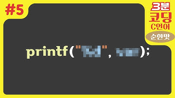 printf에 이런 숨겨진 사용법이 있다고?? (변수 