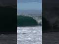 Novelty south swell #foryou #youtube #shortsvideo #youtubeshorts #viral #shorts #shortfeed #vlog