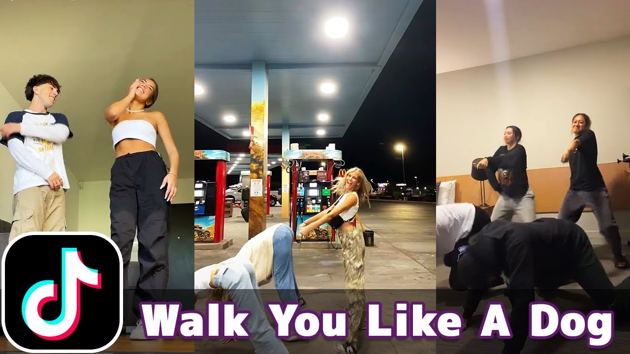 You Hoes Be Trippin, Walk You Like A Dog TikTok Compilation YouTube