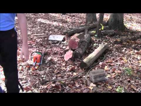 Cutting cedar with the stihl ms290 farmboss