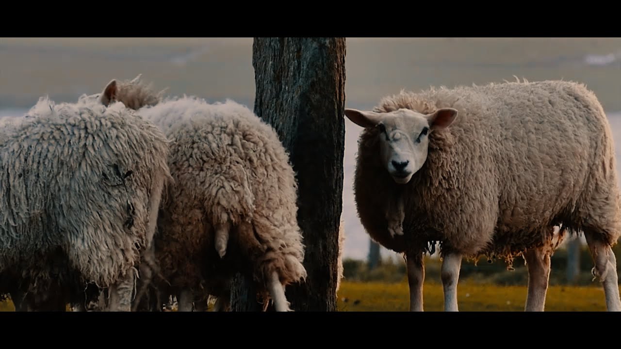 Tommy Bueno - Etéreo (Official Visualizer)