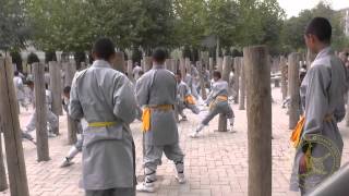 STQI To China \u0026 Shaolin Luohan Garden