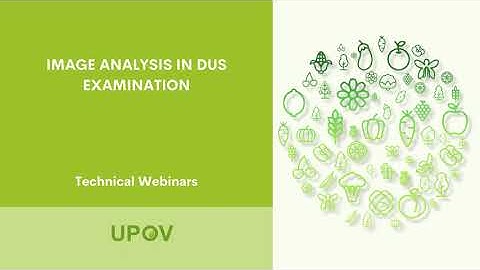 UPOV Technical Webinar:  Image Analysis in DUS examination