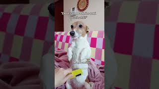 La Mia Spesa Mensile Spesi Bene