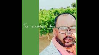 Lemon Plants 4 Years Old