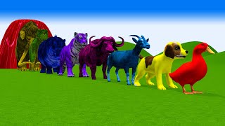 Paint & Animals Duck, Cow, Dog, Cat, Tiger, Sheep, Lion, Elephant Fountain Crossing Animals