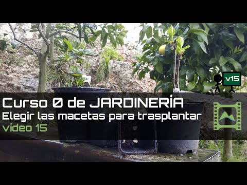 Video: Elegir el mejor contenedor para jardinería