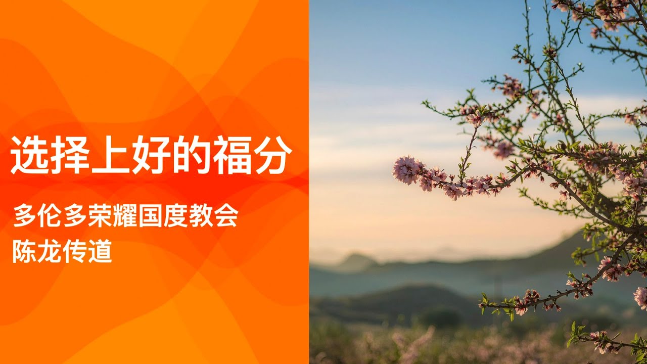 主日证道: 选择上好的福分