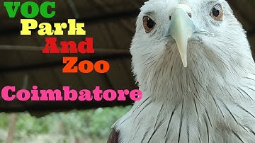 158) VOC Park And Zoo, Coimbatore