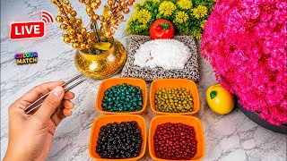 🔴 LIVE | Mixed Beads Sorting Challenge 🌈 | Color Match Game | Satisfying Beads Sorting screenshot 2