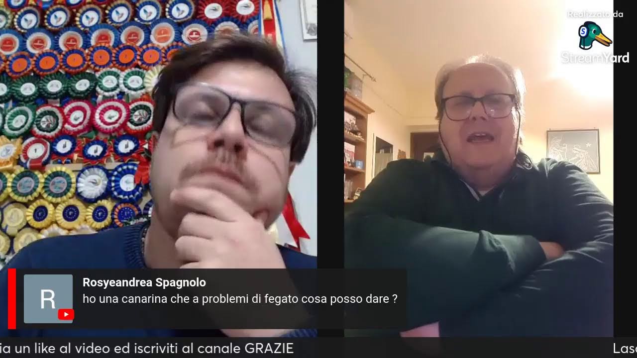 Domande e risposte sui canarini con papà Salvatore Cremone | CanaricolturaLIVE 12/04/2024