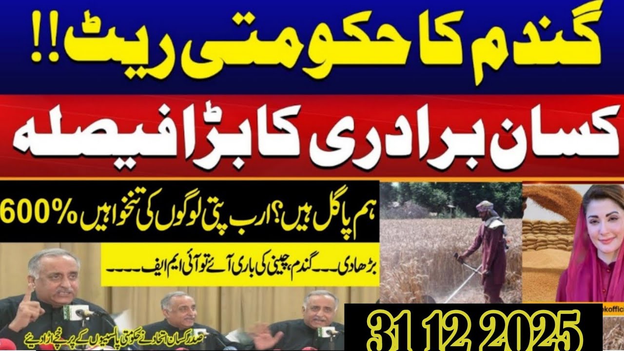Today Wheat price in punjab//گندم کا ریٹ 2025/munji makki till sarso/Galla mandi rate today